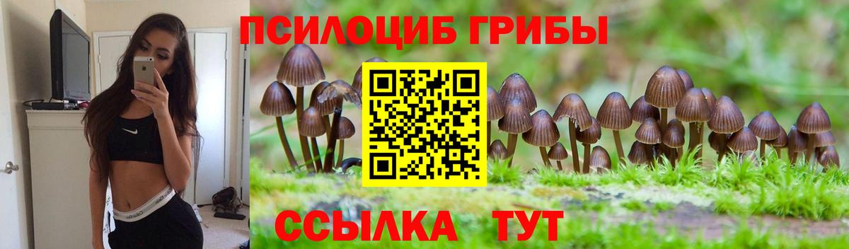 Саянск  Псилоцибиновые грибы MAGIC MUSHROOMS  Вход с VPN 