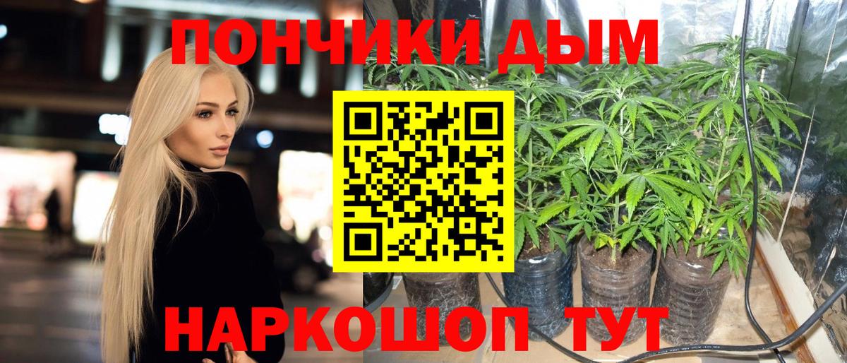 Бошки Шишки марихуана Саянск